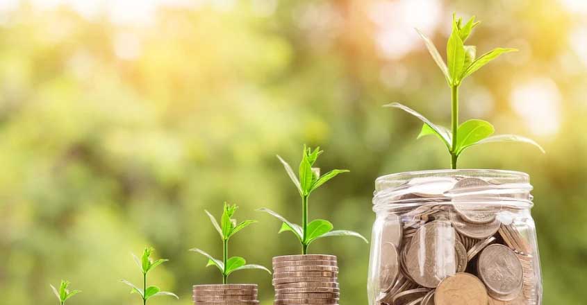 Capital Market and Investment Management